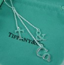 Tiffany T&Co charm pendant TNL400